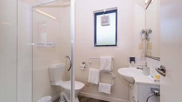 A modern bathroom with a glass shower enclosure, a toilet, a sink, and a mirror.