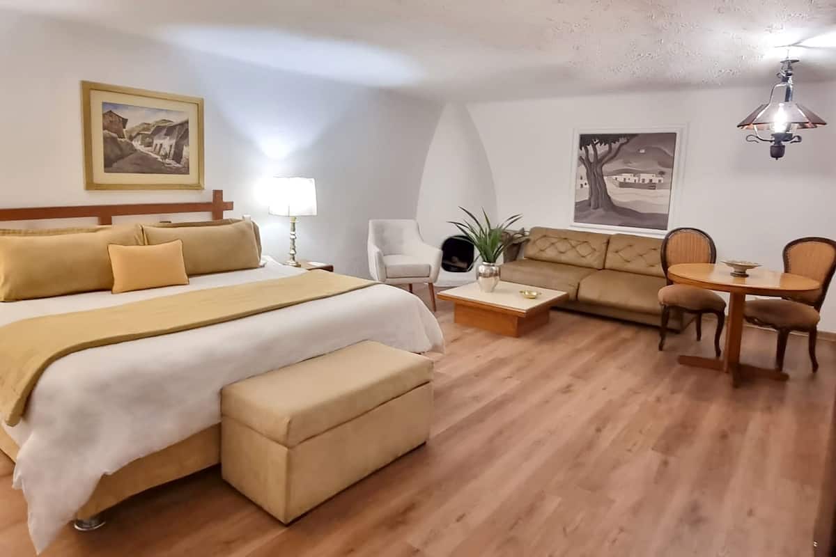 Suite ejecutiva | 1 dormitorio, minibar, caja fuerte y decoración individual