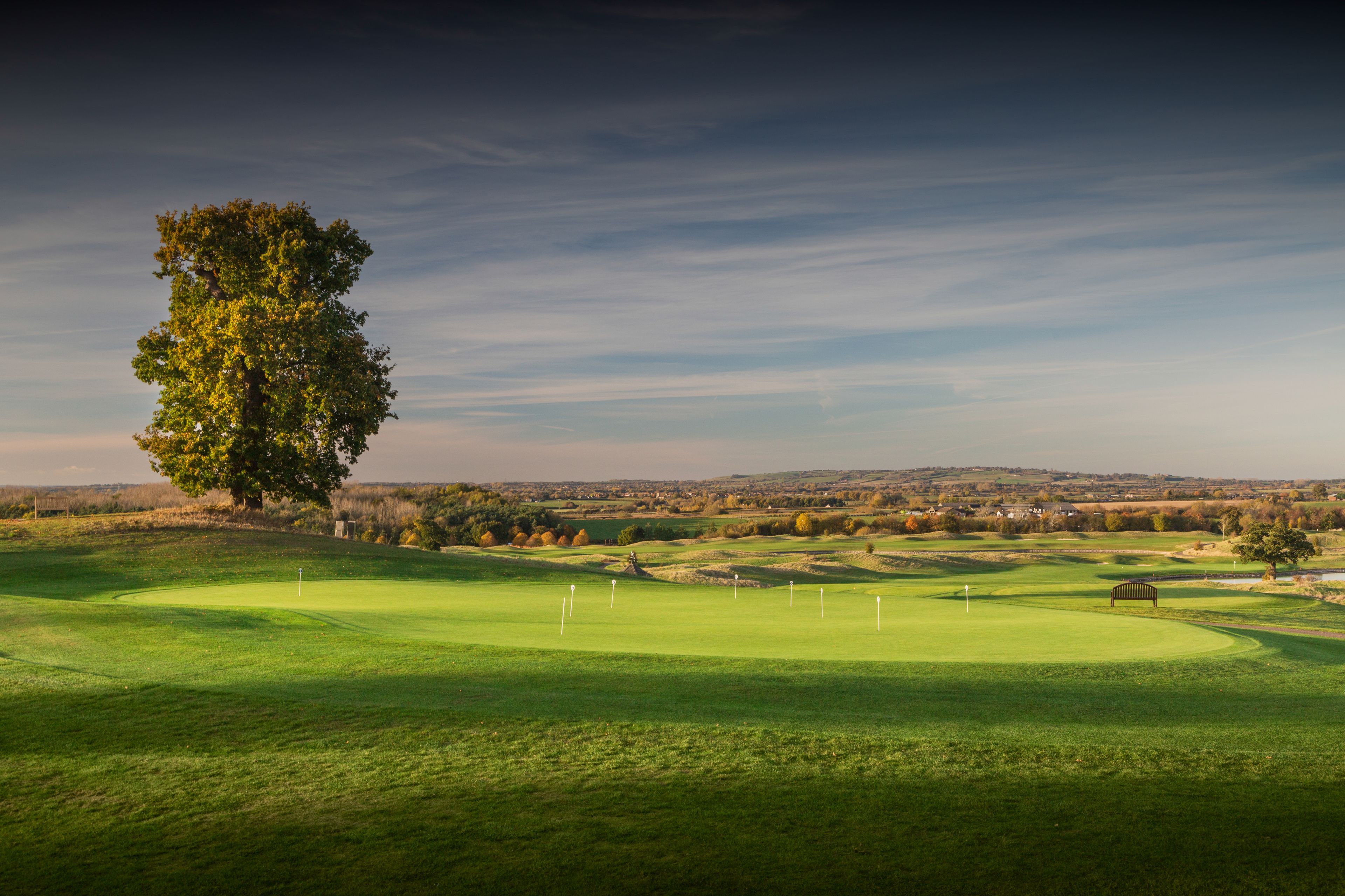 Un campo de golf con un árbol grande, un estanque y colinas al fondo.