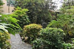 A garden with a stone pathway, various plants, and a waterfall. - Century Palace Hotel (Huizhou)