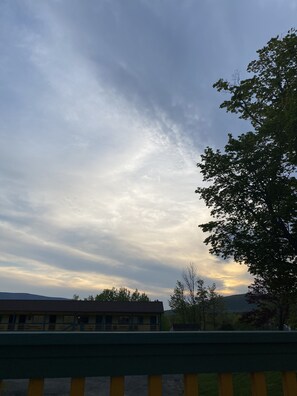 Eksteriør