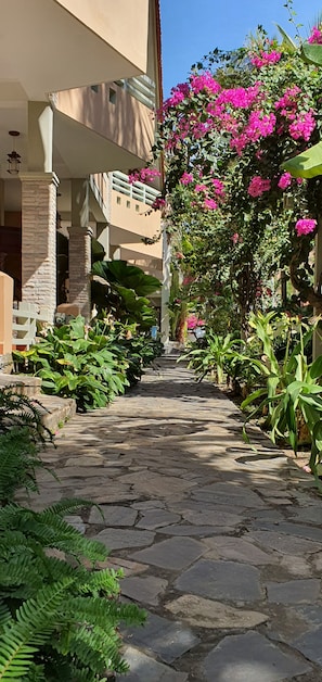 A stone pathway leading to a building with a balcony, surrounded by lush greenery and flowering plants. - Canary Beach Resort (Mui Ne)