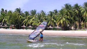 Una playa con palmeras y una persona practicando windsurf.