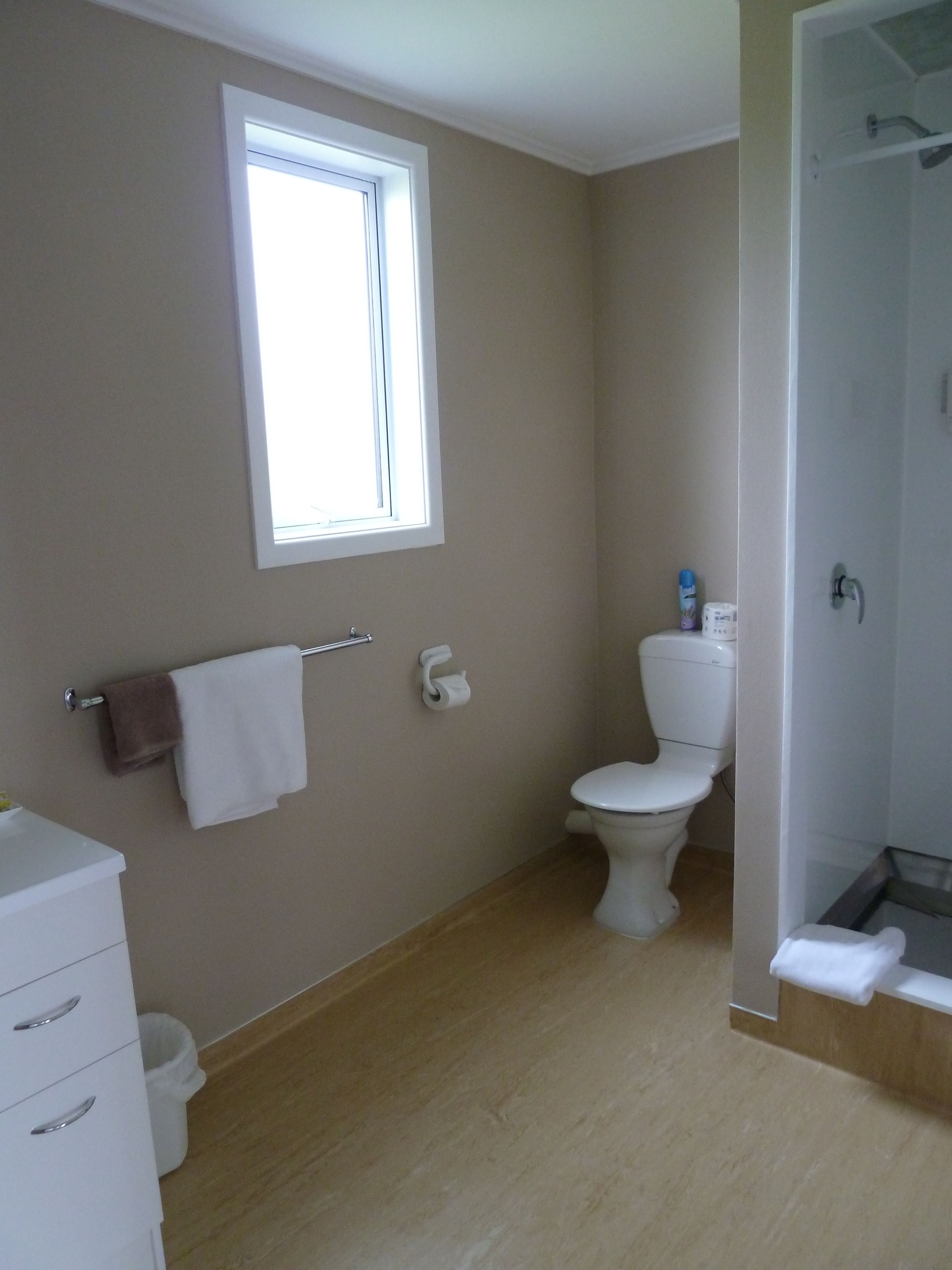 A bathroom with a toilet, a towel rack, a window, and a shower area.