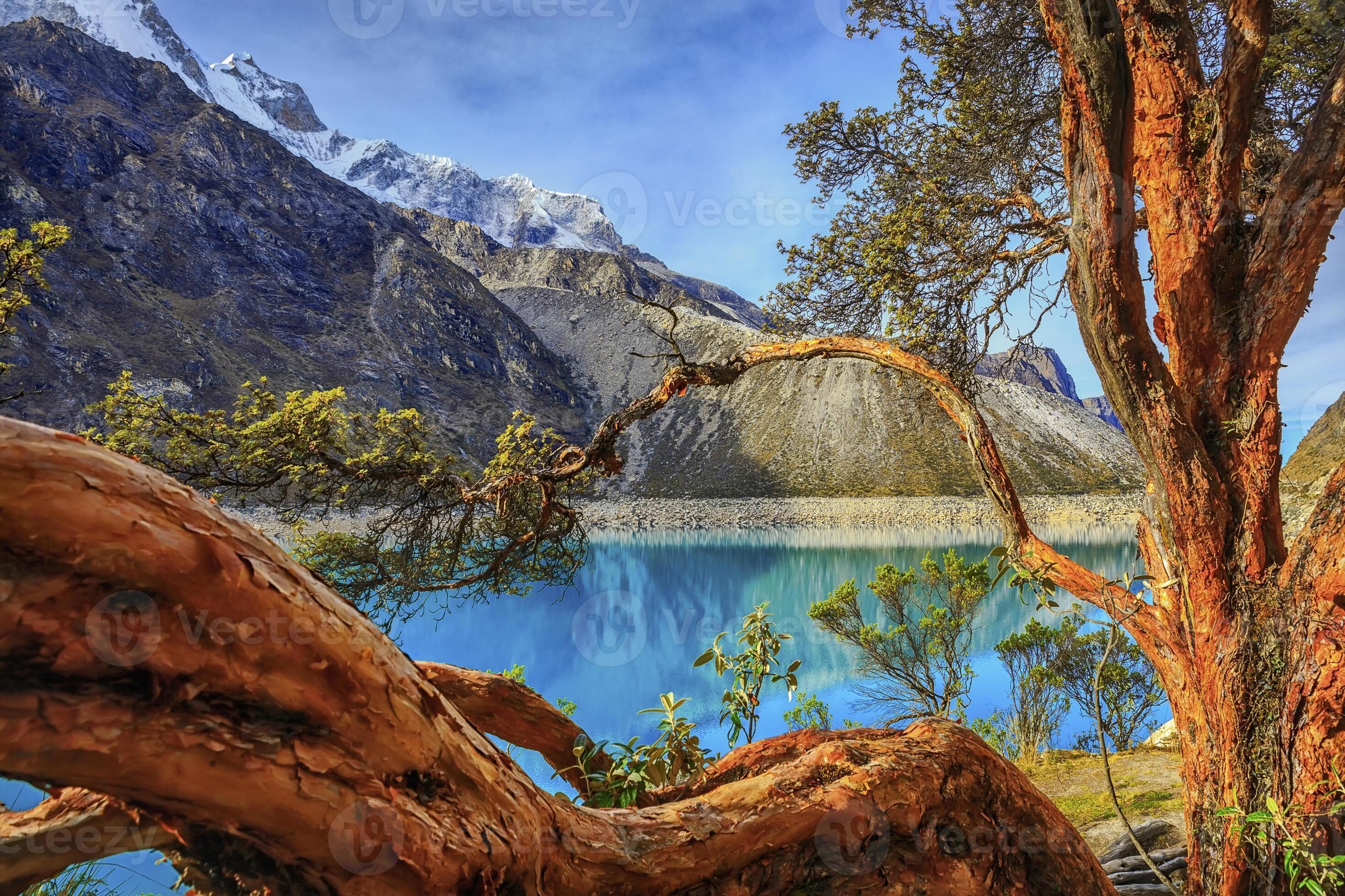 A mountainous landscape with a clear lake, a prominent tree, and snow-capped peaks in the background.