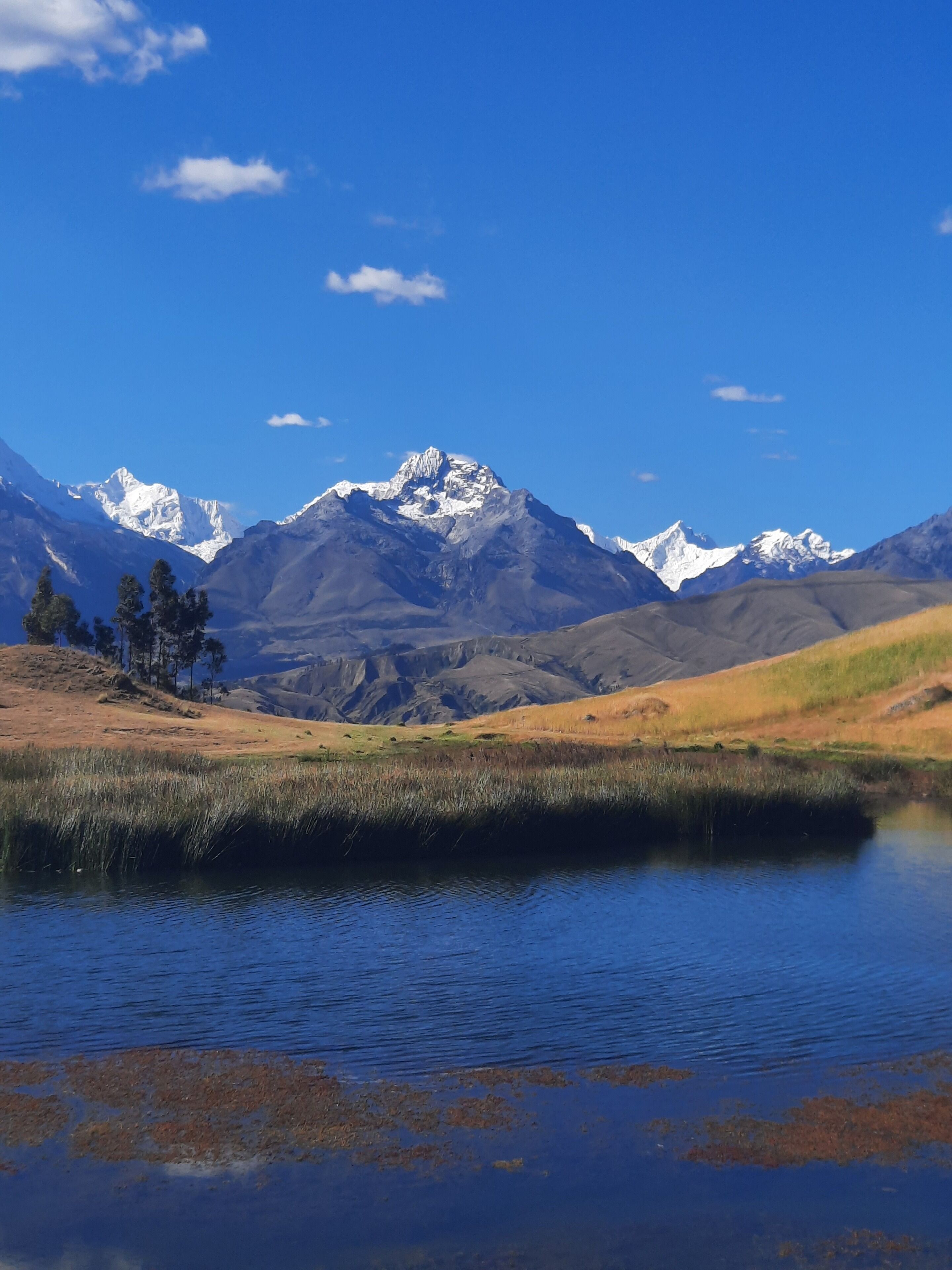 A mountain landscape with a clear sky, a body of water, and a grassy area.