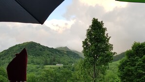 Una mesa con una copa de vino, saleros y pimenteros, y una vela verde, con vistas a un paisaje verde exuberante con colinas y un árbol.