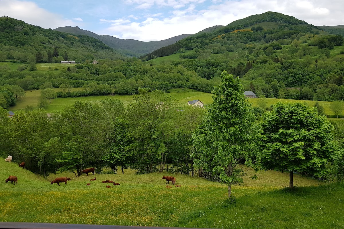 Ländliche Landschaft mit sanften Hügeln, grünen Feldern und vereinzelten Bäumen.