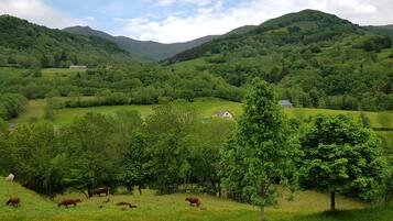 Standard Quadruple Room, Balcony, Mountain View | In-room safe, desk, soundproofing, iron/ironing board