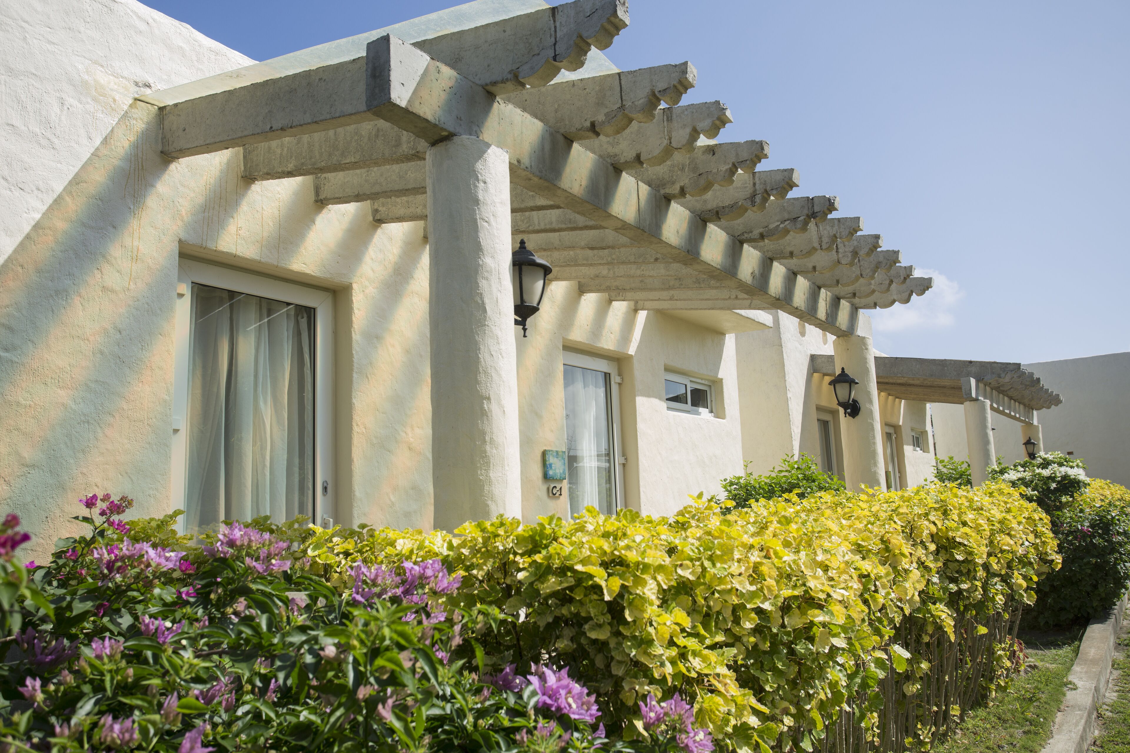 A building with a covered porch, a window, and a garden with yellow and purple flowers.