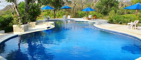 Piscine extérieure, parasols de plage, chaises longues