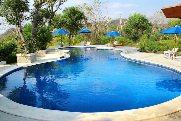 Outdoor pool, open 7:30 AM to 7:00 PM, pool umbrellas, pool loungers