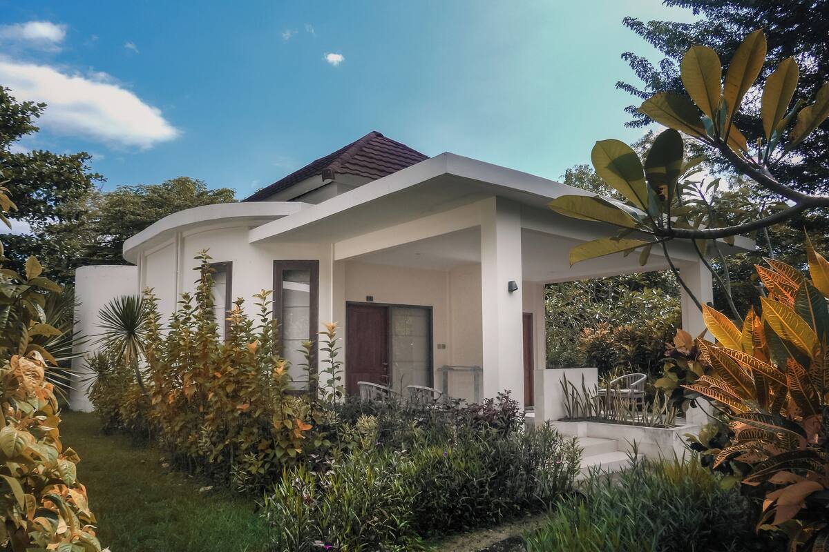 A modern house with a covered porch, surrounded by lush greenery and a variety of plants.