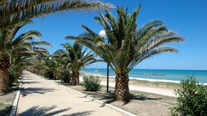 Un sentier pavé, bordé de palmiers, mène à la plage.