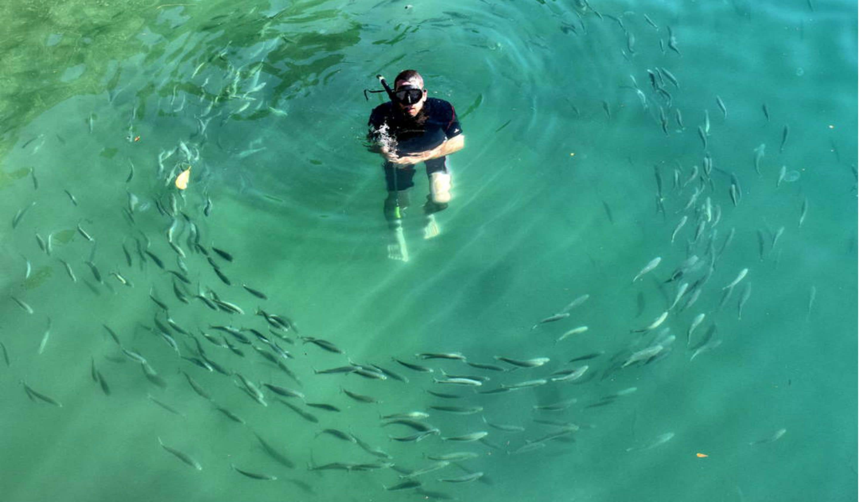 on the beach, sun-loungers, beach towels, kayaking