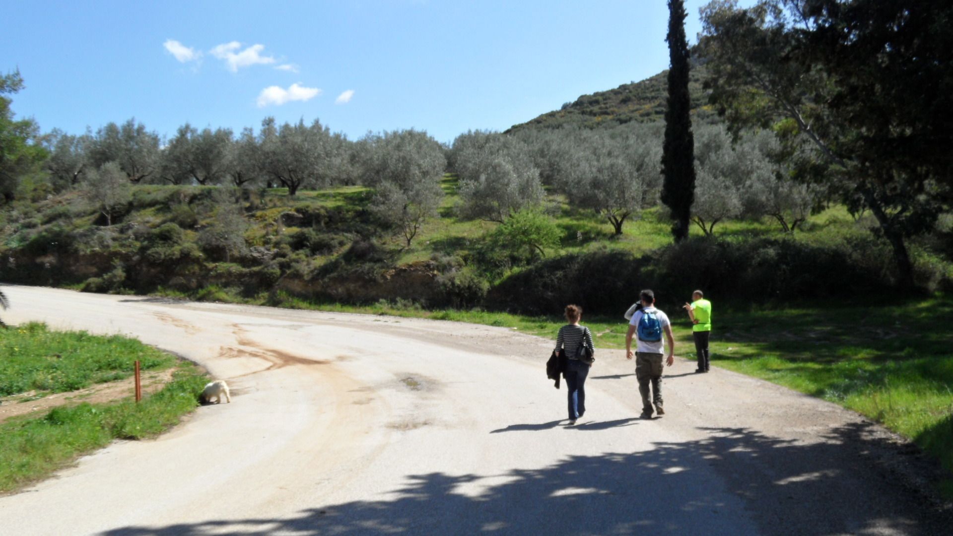 Un camino de tierra con un perro, rodeado de follaje y árboles.