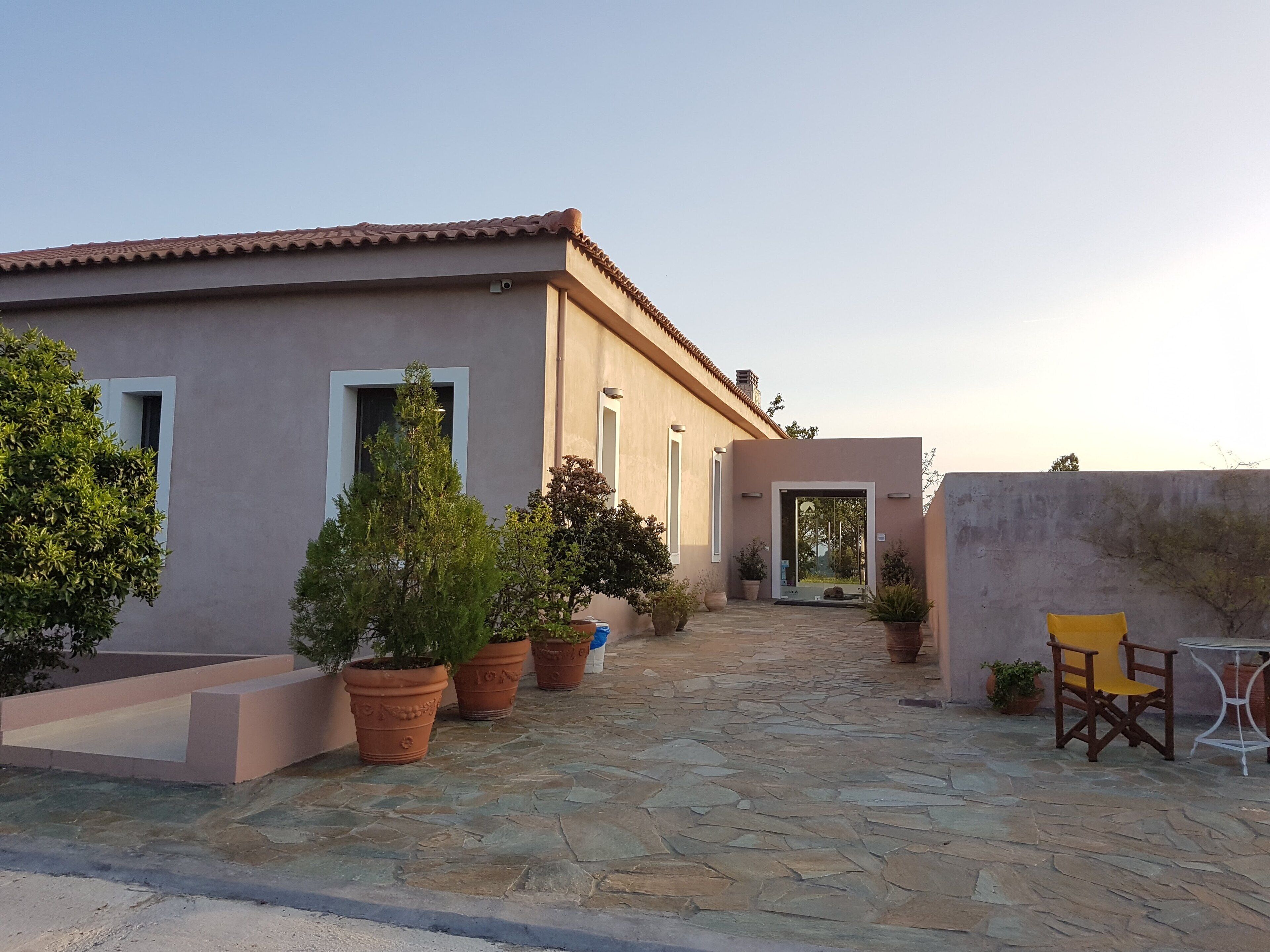 A building with a tiled roof, potted plants, and a stone-paved courtyard.