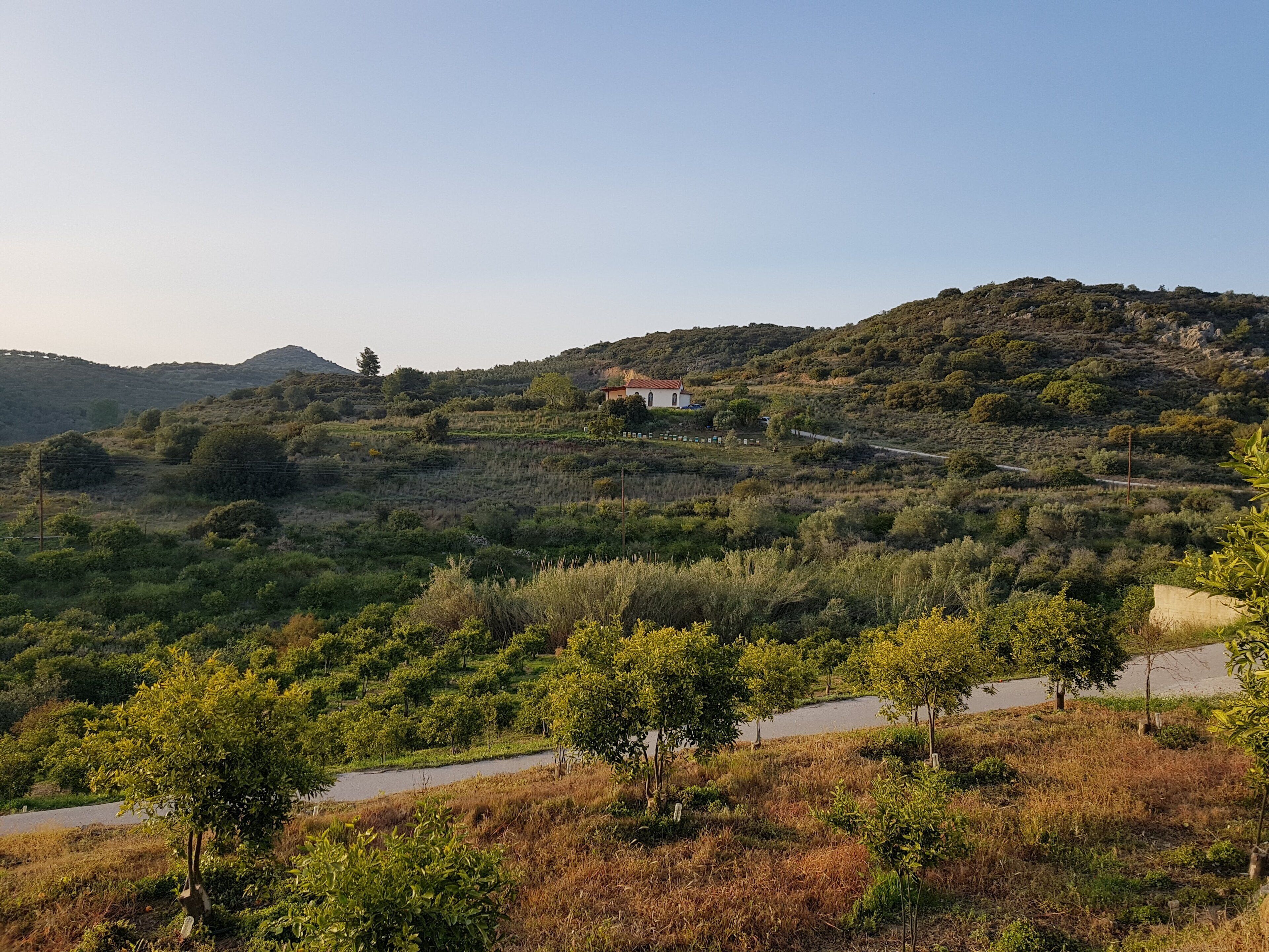 A rural landscape with a house on a hill, surrounded by greenery and a winding road.