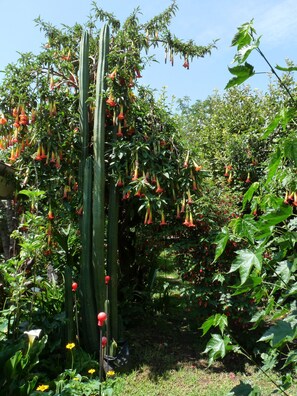 Garden - Kukuli Lodge (Cusco)
