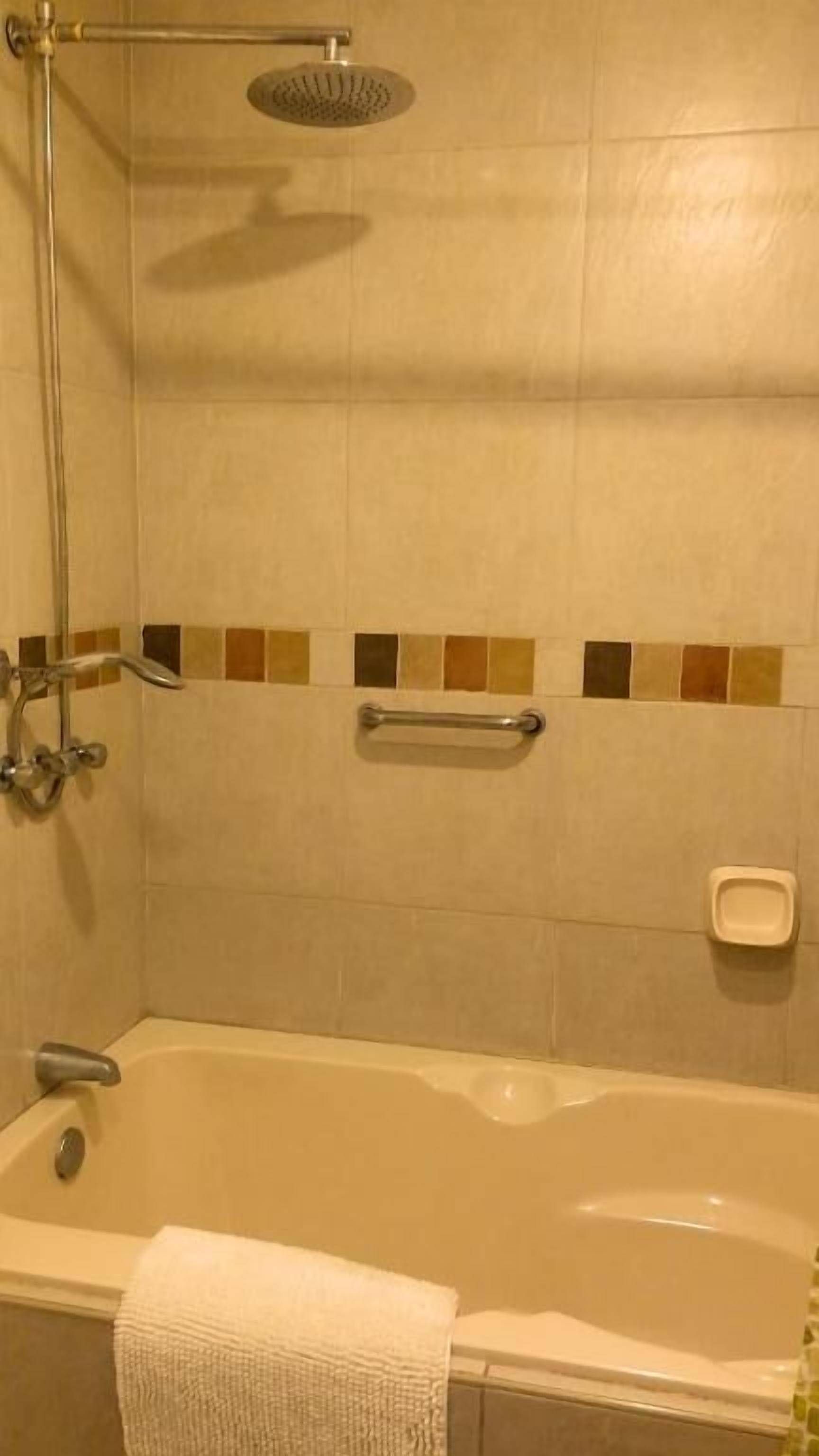 Une salle de bain équipée d’une baignoire, d’une douche et d’une barre d’appui.