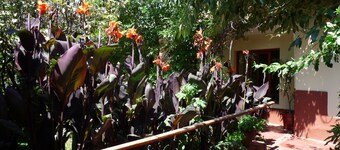 Kukuli Lodge