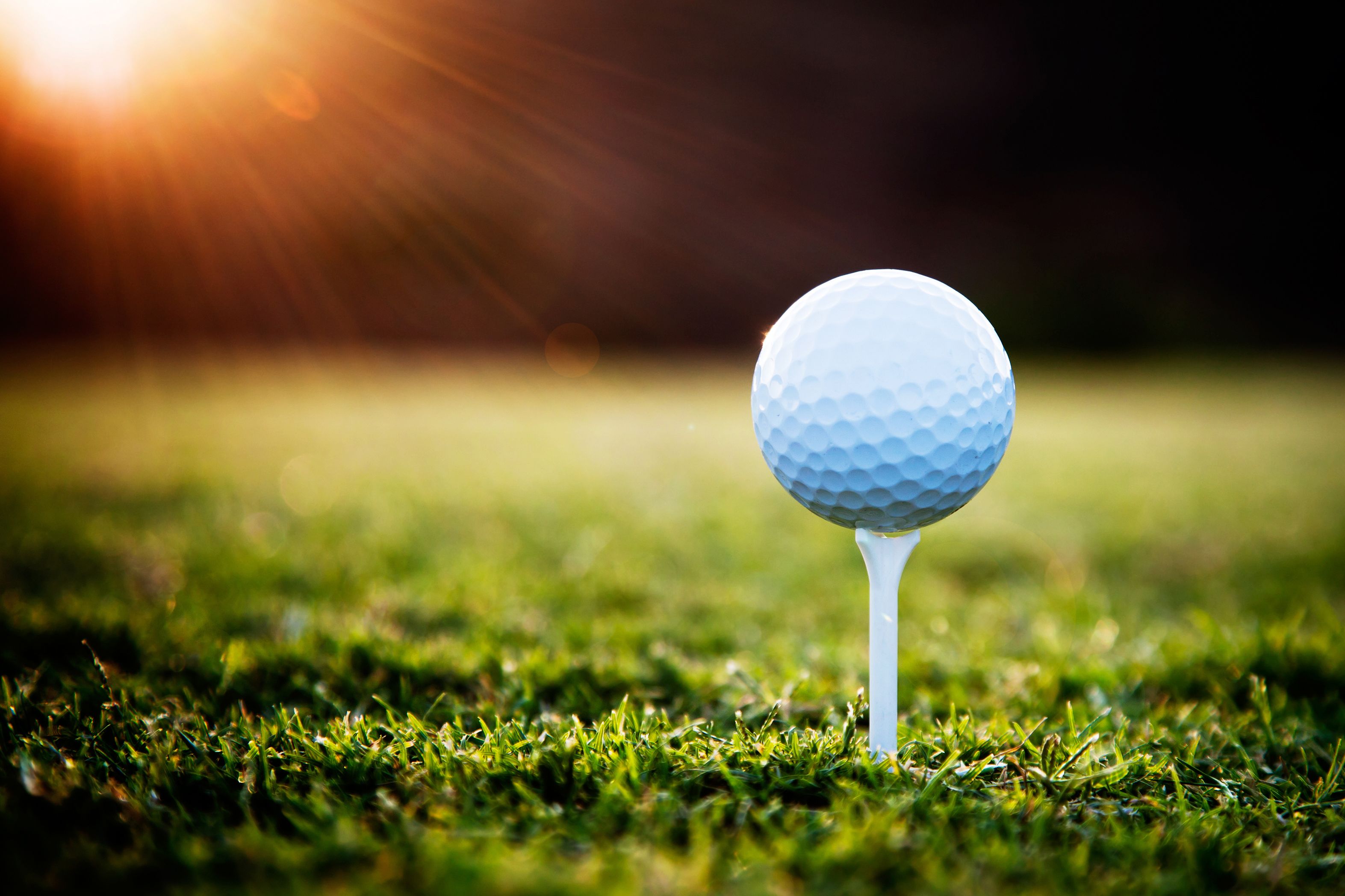 A golf ball on a tee in a grassy area.