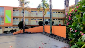 Un edificio de varios pisos con balcones, un letrero vertical verde y un patio empedrado con hojas dispersas.