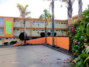 Exterior - Greenview Motel (Rotorua)