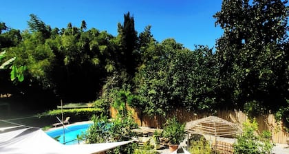 WIKI HOSTEL Colive - Adults Only & Pet Friendly