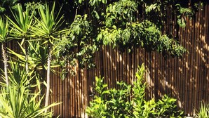 A bamboo fence with dense foliage in the background. - WIKI HOSTEL Colive - Adults Only & Pet Friendly (Zagarolo)