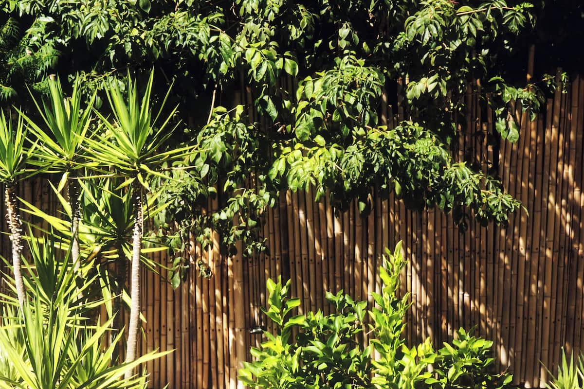 Down comforters, memory foam beds, in-room safe, desk