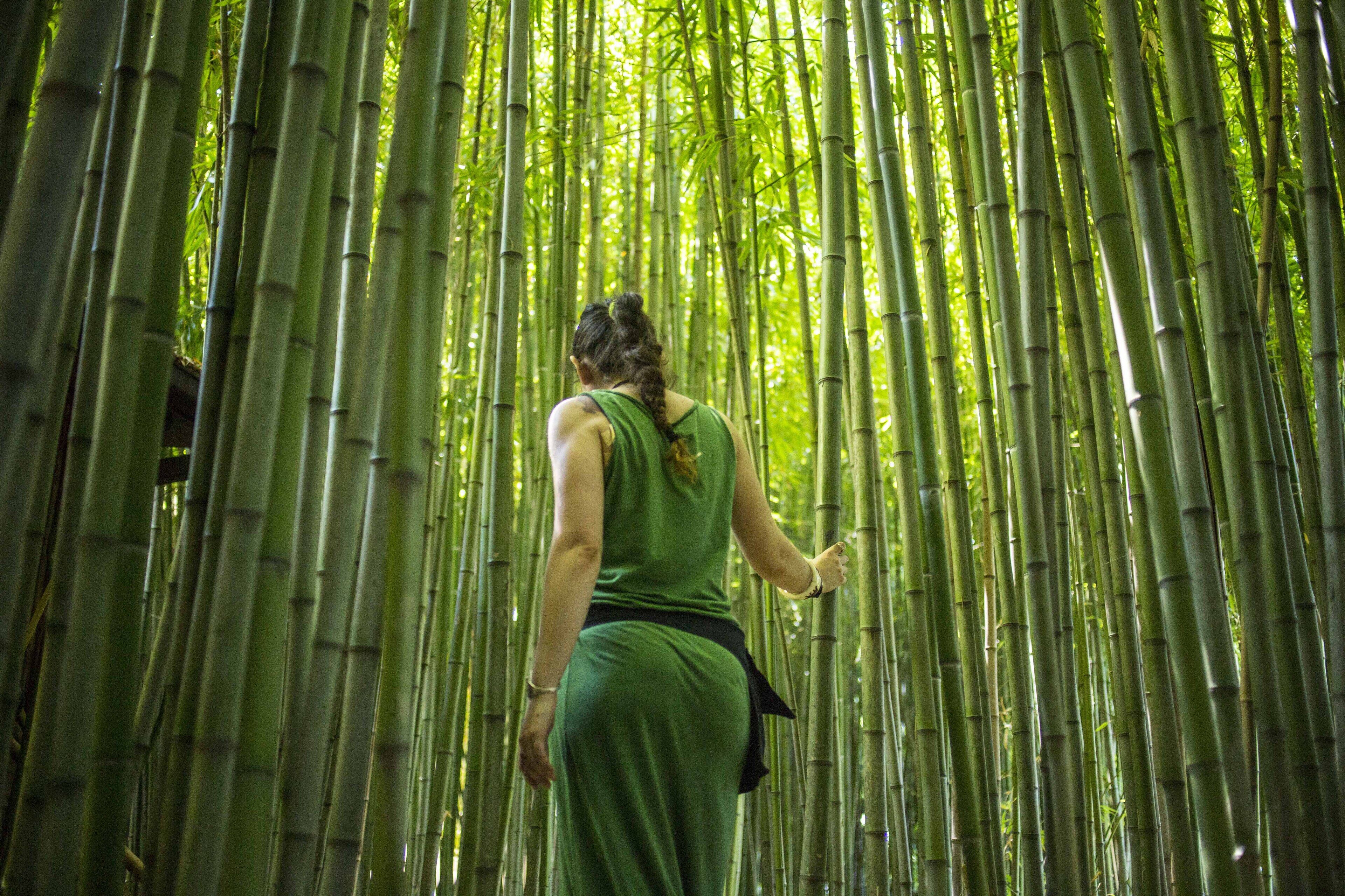 Una donna con un abito verde che cammina in una foresta di bambù.