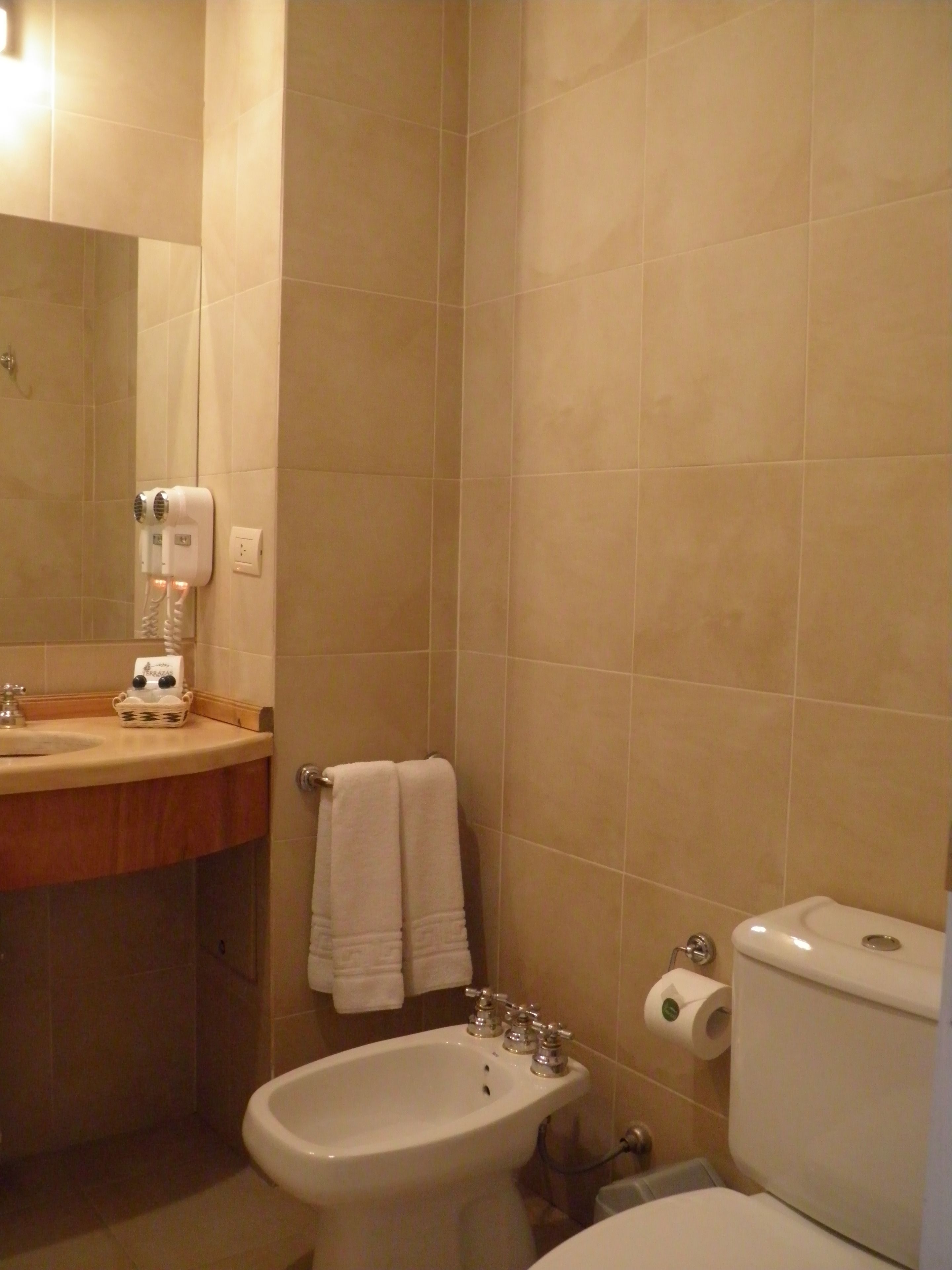 double room, lake view | bathroom | rainfall showerhead, free toiletries, hair dryer, bidet