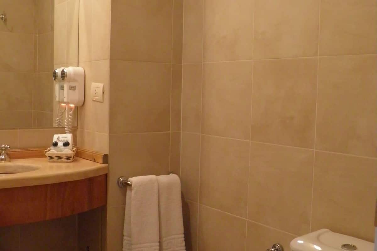 double room, lake view | bathroom | rainfall showerhead, free toiletries, hair dryer, bidet