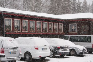 Front of property - Pension Waldoase Hirschbüchenkopf (Harzgerode)