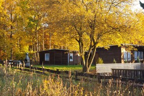 Property grounds - Pension Waldoase Hirschbüchenkopf (Harzgerode)