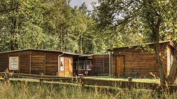 A rustic cabin with a porch, surrounded by tall trees and overgrown grass. - Pension Waldoase Hirschbüchenkopf (Harzgerode)