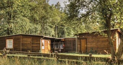 Pension Waldoase Hirschbüchenkopf
