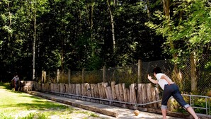 A person playing a game of bowling on a paved area with a wooden fence and trees in the background. - Pension Waldoase Hirschbüchenkopf (Harzgerode)
