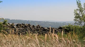 Un mur de pierre offrant une vue sur des collines ondoyantes et des arbres lointains.