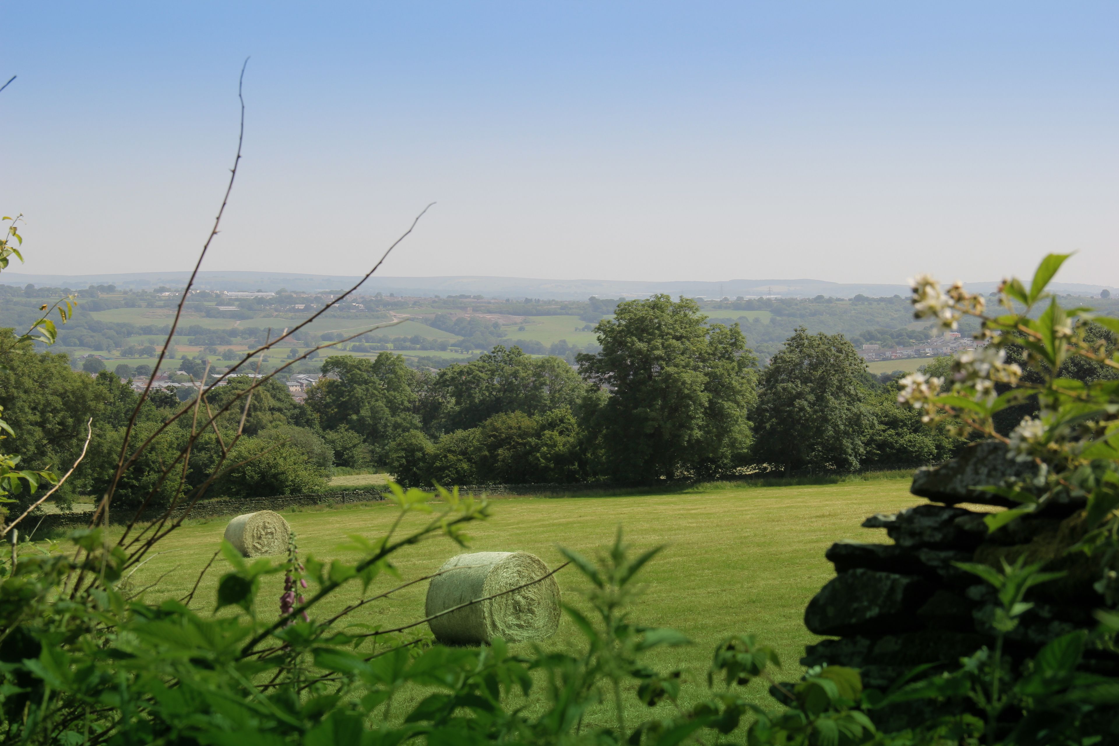 A rural landscape with hay bales, greenery, and a stone wall.