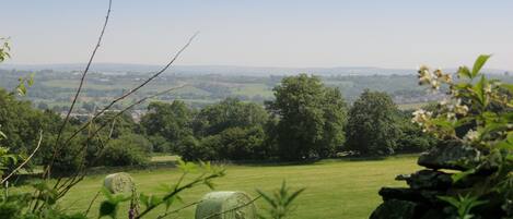 A rural landscape with hay bales, greenery, and a stone wall.