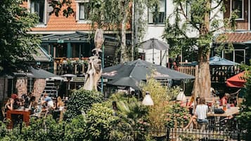 Terras