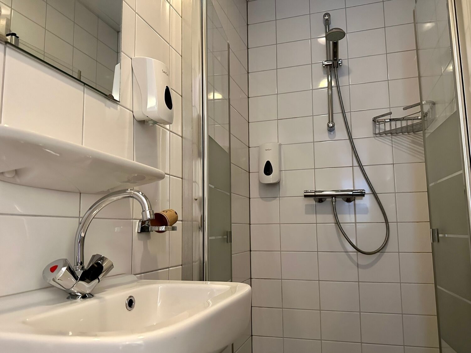A bathroom with a sink, a handheld showerhead, and a toilet paper dispenser.