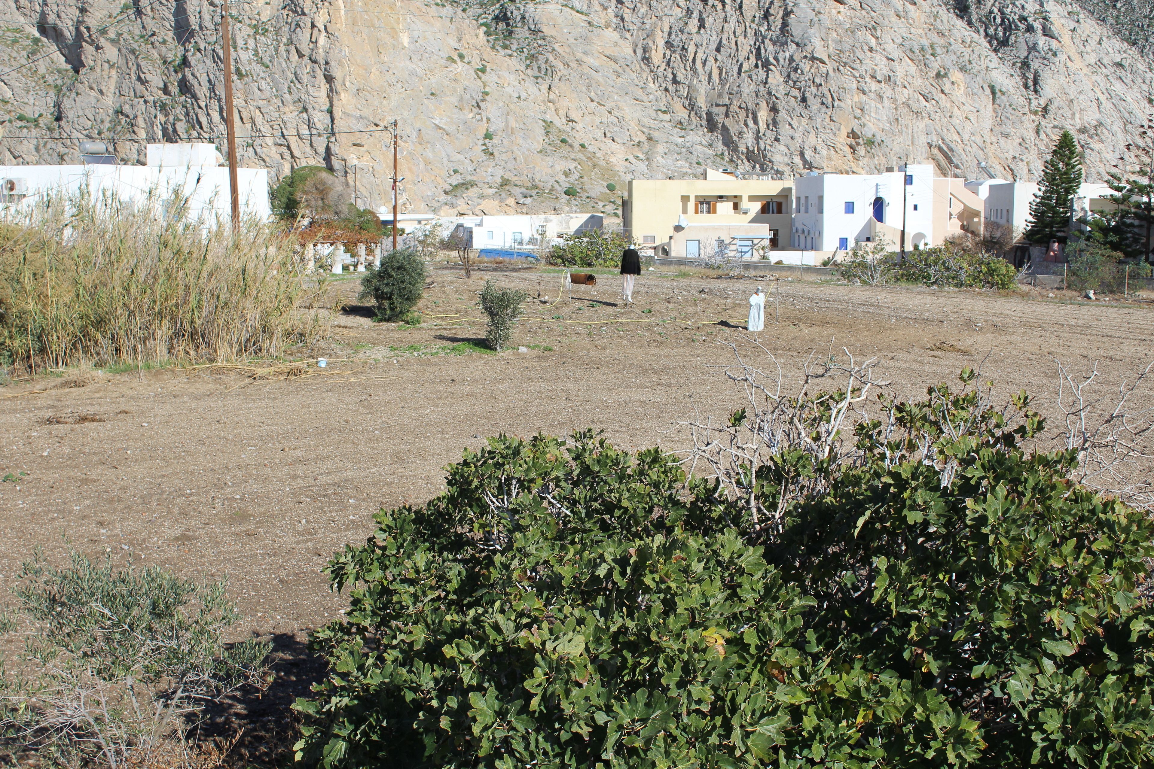 Photo - Studios Halaris