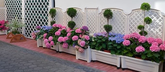 Haus Mooren Hotel Garni