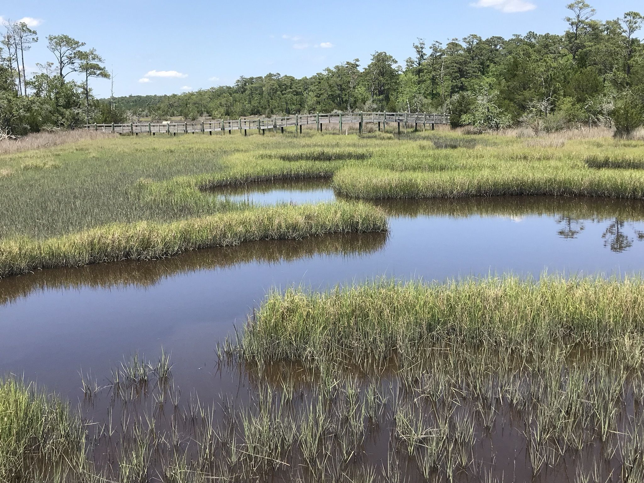 A natural landscape with a water body surrounded by grassy areas and trees.
