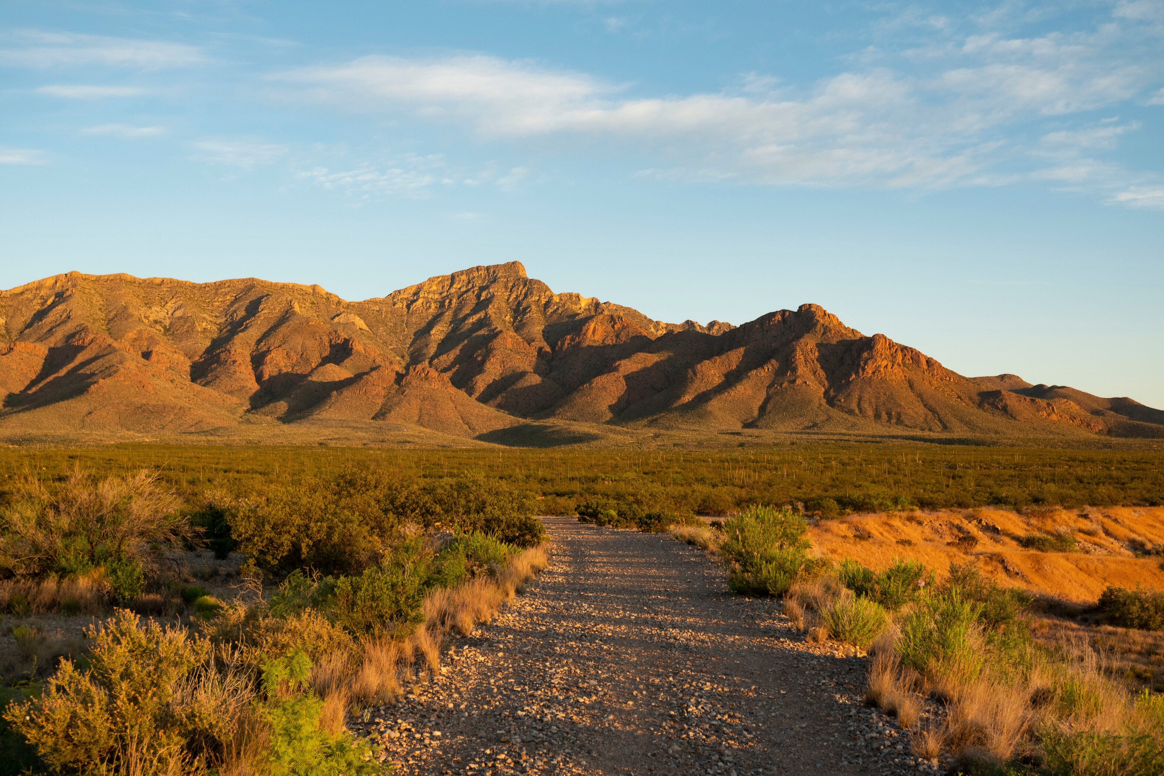 A gravel path leading through a desert landscape with mountains in the background.