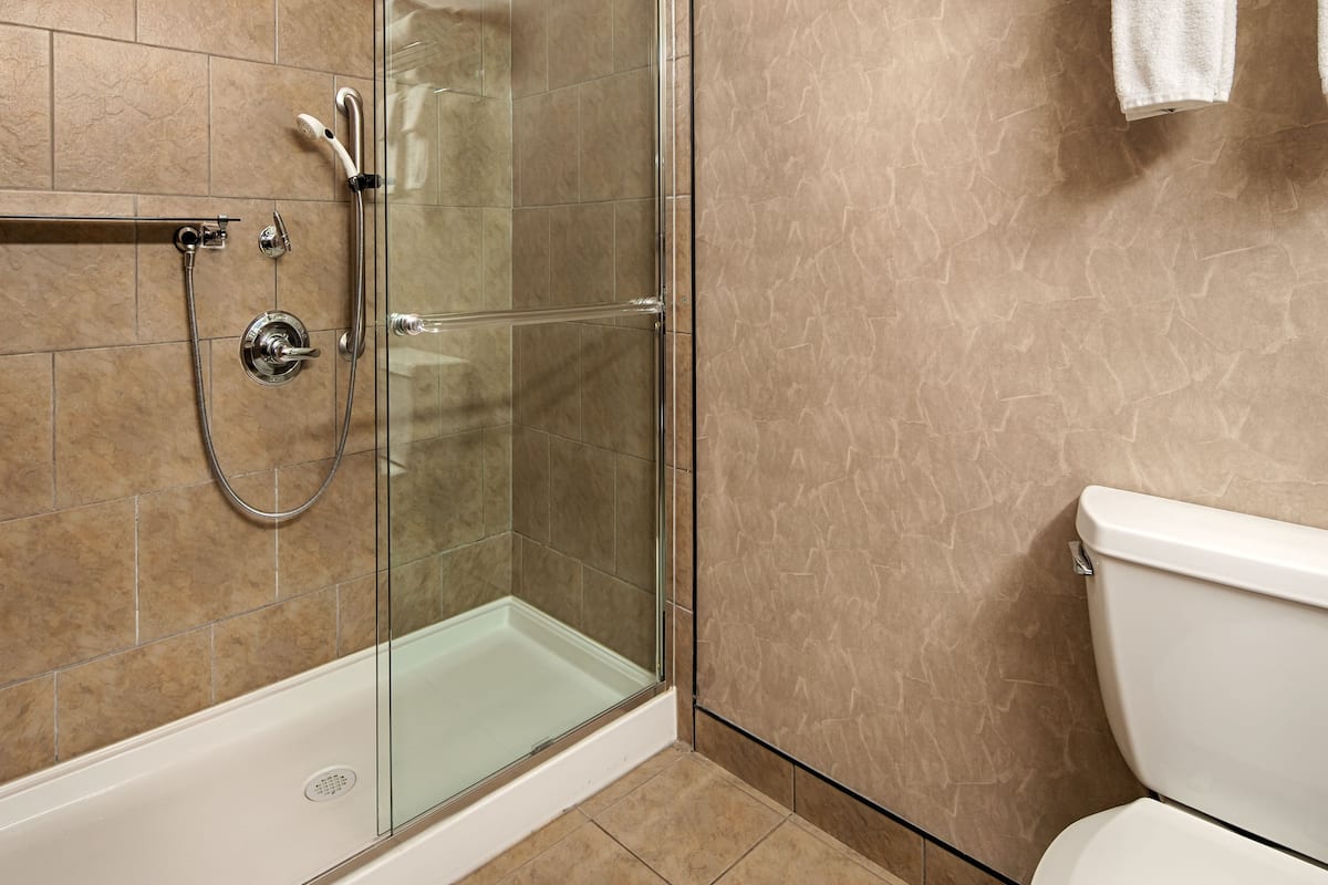 free toiletries, hair dryer, towels, soap