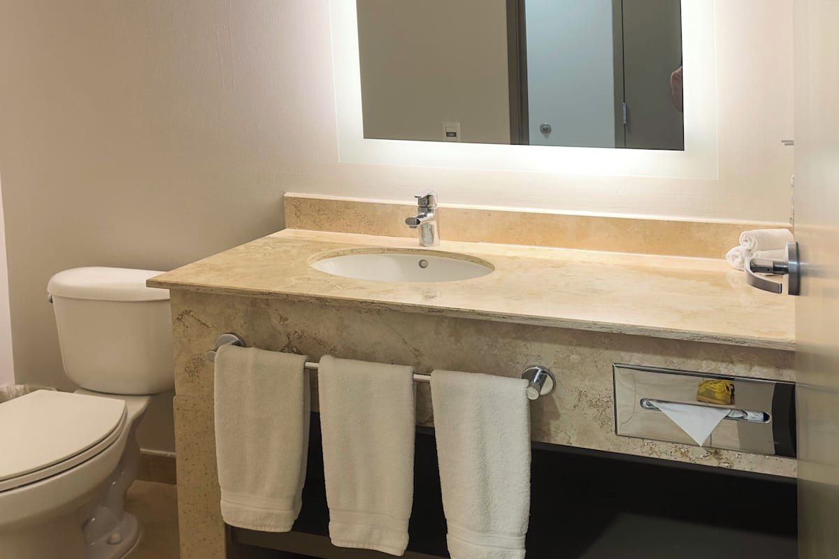 1 bedroom, premium bedding, in-room safe, desk